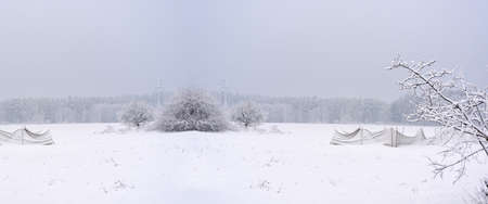 Winter nature photo.の写真素材