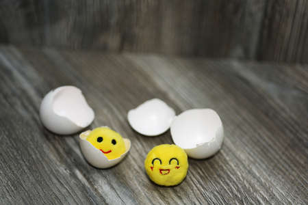 Abstract composition of chicken shell.の写真素材