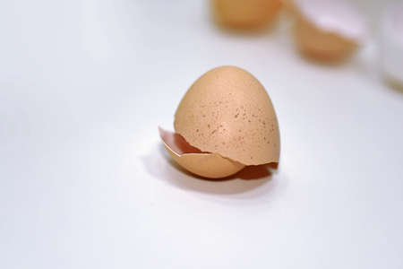 Macro photo of chicken eggs shell.