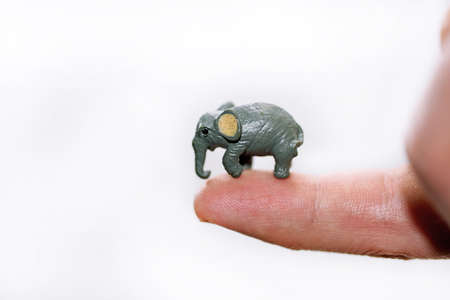 Small decorative elephant on finger.の写真素材