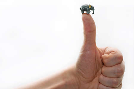 Small decorative elephant on finger.の写真素材