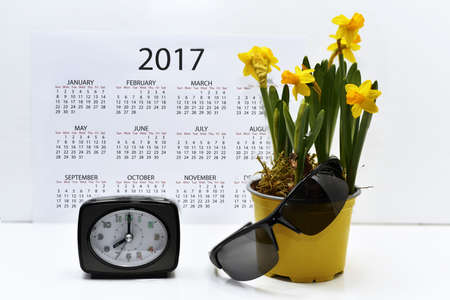 Abstract composition of yellow daffodils. Isolated on white background.の写真素材