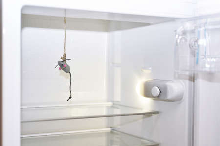 Abstract composition of hunger. Empty fridge with mouseの写真素材