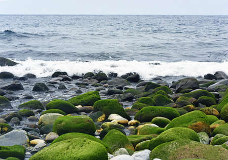 Group of stones near Atlantic ocean coast. On Summer cloudy day.の写真素材