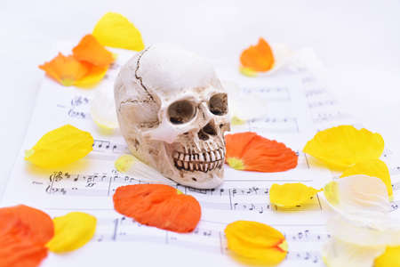 Music abstraction. Autumn texture with white small skull.の写真素材