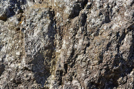 Texture made from small stones. Abstract composition.