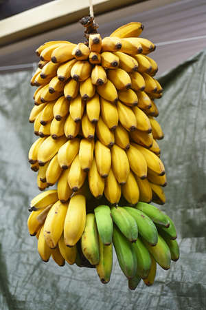Open market bananas. Madeira's fruits abstraction.の写真素材