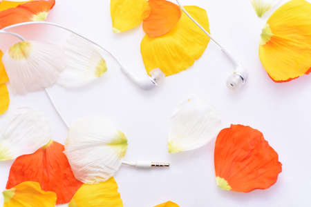 Music abstraction. Autumn texture with white headphonesの写真素材