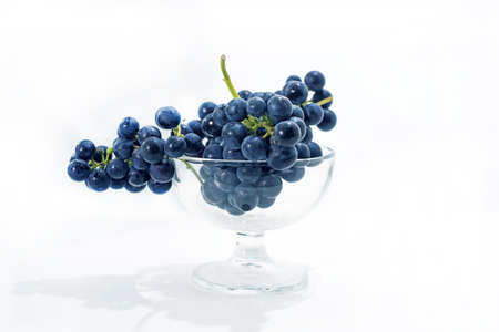 Raw dark grapes isolated on white background. Autumn abstractions. Macro photo.の写真素材