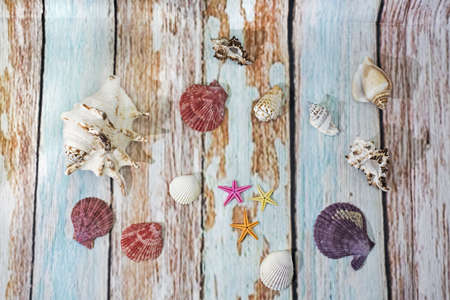 Seashells in a straw basket.の写真素材