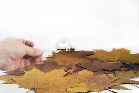 Burning autumn abstraction. Hand with burning match on maple leaves background.の写真素材