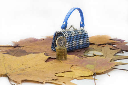 Small toy bad with euro coins.