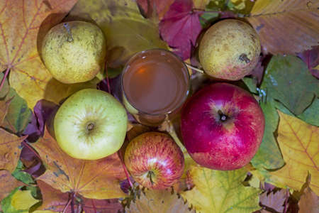 Fresh apple juice on table with apples and maple leaves. Autumn Abstractionの写真素材
