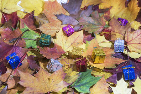 Small decorative presents on maple leaves background. Autumn abstraction.の写真素材