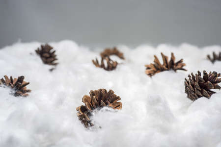 Cones in the snow. Macro photo of small decorative cones with some Christmas components.の写真素材