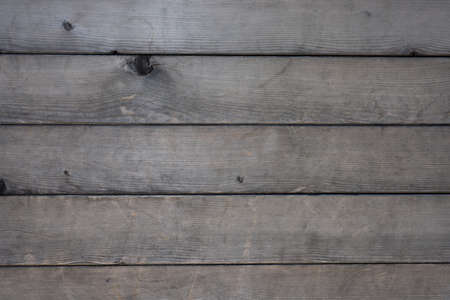 Monotone texture in cold colors of the wood.の写真素材