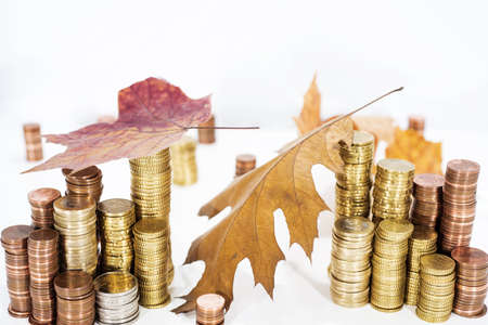 Autumn abstract photo. Yellow leaves with some coins. Isolated on white background.