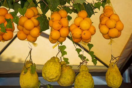 Summer fruits in box. Sunny summer day. Healthy food photo.