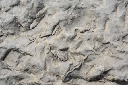 Stone texture. Background made from stone materials.