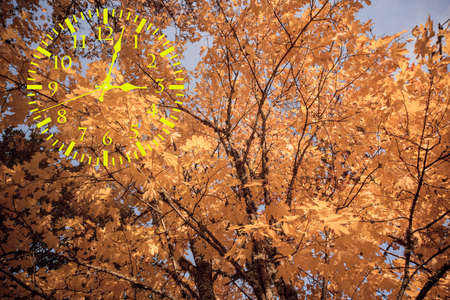 Autumn landscape abstraction. Fall back time. Daylight saving time.