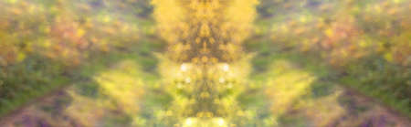 Mosaic Autumn background. Blurred autumn leaves.