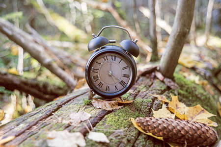 Autumn landscape abstraction. Fall back time. Daylight saving time.の写真素材