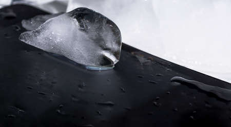 Black smartphone frozen in ice.