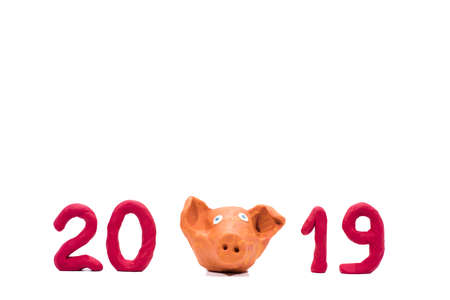 Symbol of Year 2019. Pig made from Play Clay.の写真素材