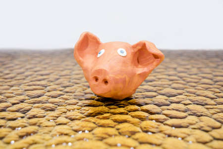 Symbol of Year 2019. Pig made from Play Clay.の写真素材