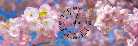 Wall Clock with blue skies and flowersの写真素材