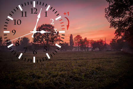 Wall Clock with flowers