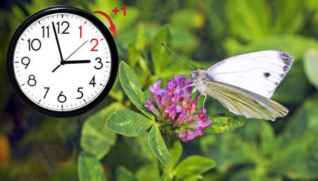 Wall Clock with flowers