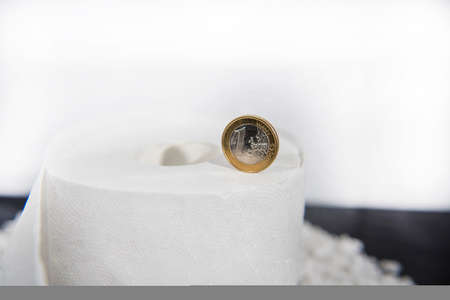 Abstract photo with toilet paper concept. Euro coin on white toilet paper roll.