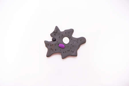 Protozoa bacteria. The most famous and simple bacteria:  Amoebaの写真素材