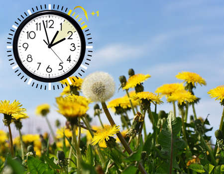 Summer Daylight Saving Time (DST). Blue sky with yellow dandelions. Turn time forward (+1h).の写真素材