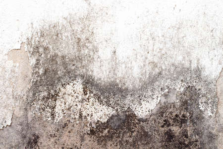 white concrete wall textureの写真素材