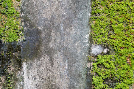 white concrete wall texture