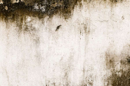 white concrete wall textureの写真素材