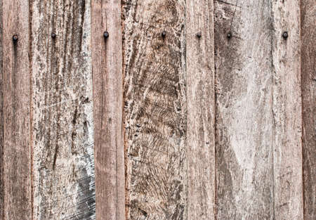 wood texture. background old panels