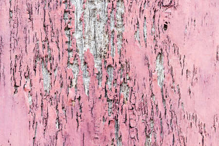 wood texture. background old panelsの写真素材