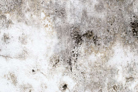 white concrete wall textureの写真素材