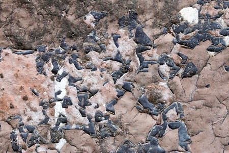 white concrete wall textureの写真素材