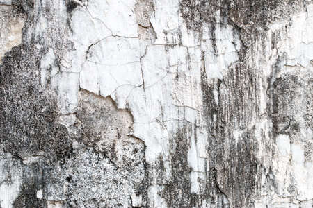 white concrete wall textureの写真素材