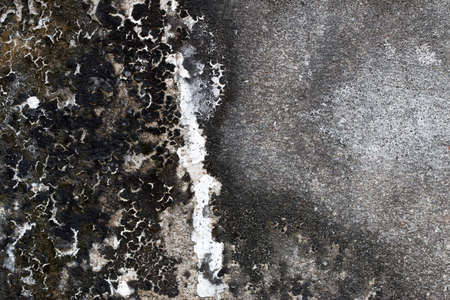 white concrete wall textureの写真素材