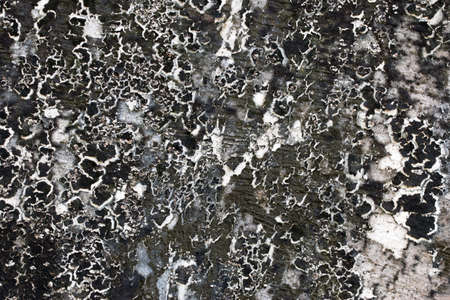 white concrete wall textureの写真素材