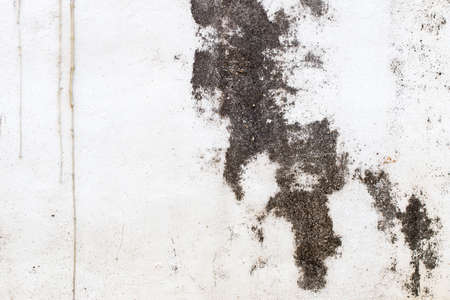 white concrete wall textureの写真素材
