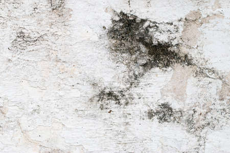 white concrete wall textureの写真素材