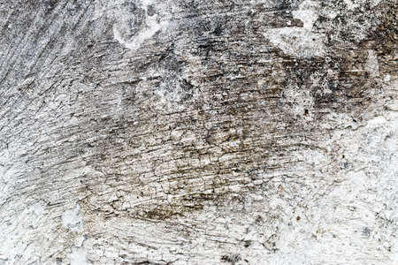 white concrete wall textureの写真素材