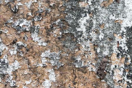 white concrete wall texture
