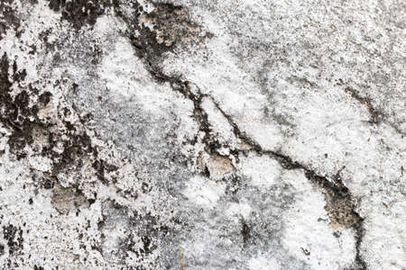 white concrete wall textureの写真素材